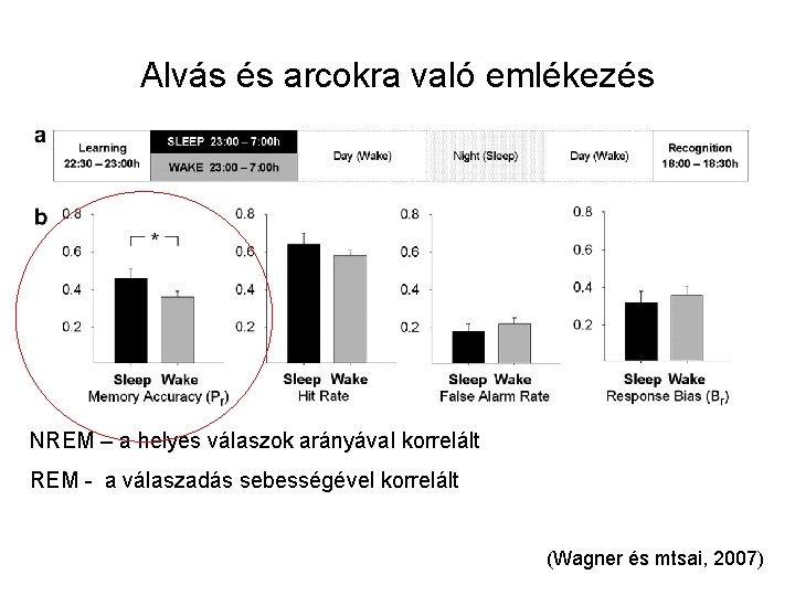 Alvás és arcokra való emlékezés NREM – a helyes válaszok arányával korrelált REM -