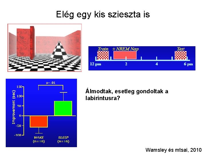 Elég egy kis szieszta is Álmodtak, esetleg gondoltak a labirintusra? Wamsley és mtsai, 2010