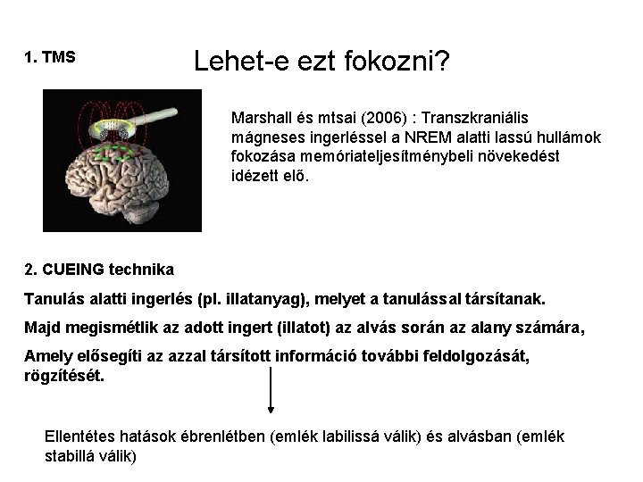 1. TMS Lehet-e ezt fokozni? Marshall és mtsai (2006) : Transzkraniális mágneses ingerléssel a