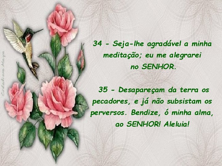 34 - Seja-lhe agradável a minha meditação; eu me alegrarei no SENHOR. 35 -