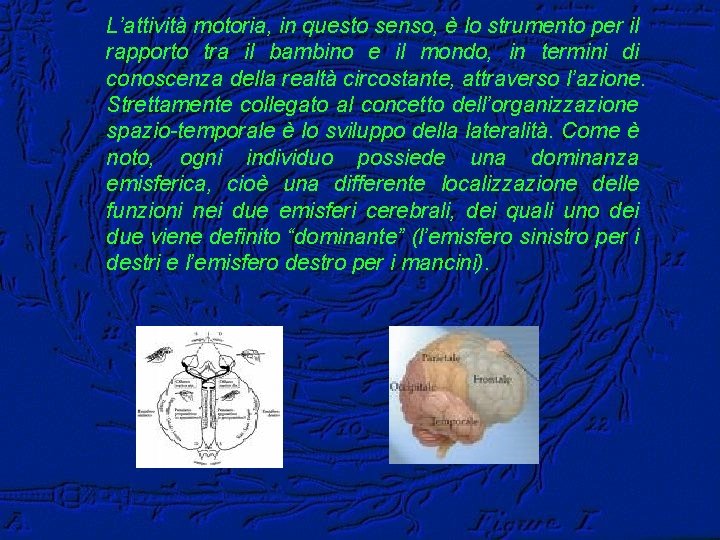 L’attività motoria, in questo senso, è lo strumento per il rapporto tra il bambino