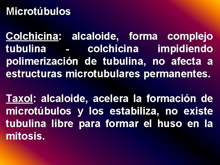 Microtúbulos Colchicina: alcaloide, forma complejo tubulina colchicina impidiendo polimerización de tubulina, no afecta a