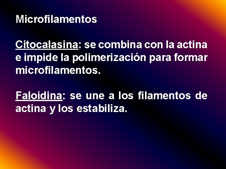 Microfilamentos Citocalasina: se combina con la actina e impide la polimerización para formar microfilamentos.