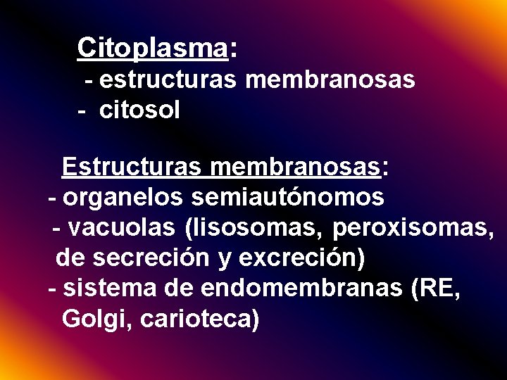 Citoplasma: - estructuras membranosas - citosol Estructuras membranosas: - organelos semiautónomos - vacuolas (lisosomas,