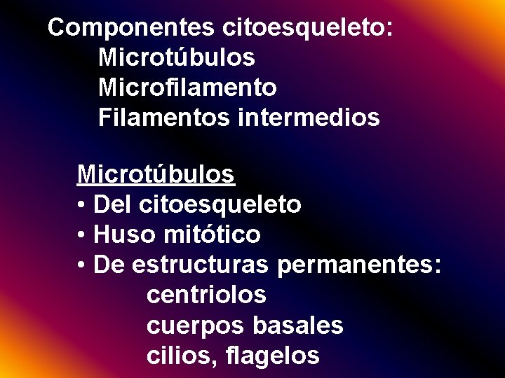 Componentes citoesqueleto: Microtúbulos Microfilamento Filamentos intermedios Microtúbulos • Del citoesqueleto • Huso mitótico •