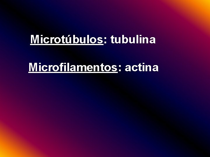 Microtúbulos: tubulina Microfilamentos: actina 