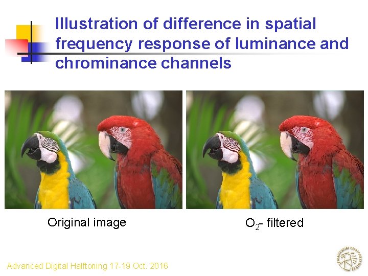 Illustration of difference in spatial frequency response of luminance and chrominance channels Original image