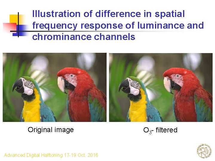 Illustration of difference in spatial frequency response of luminance and chrominance channels Original image