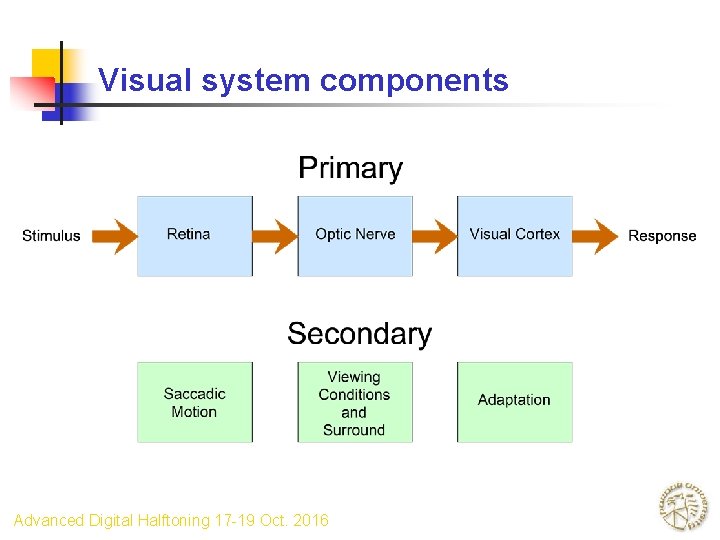 Visual system components Advanced Digital Halftoning 17 -19 Oct. 2016 