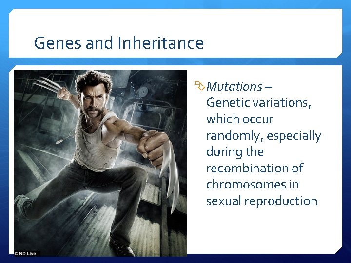 Genes and Inheritance Mutations – Genetic variations, which occur randomly, especially during the recombination