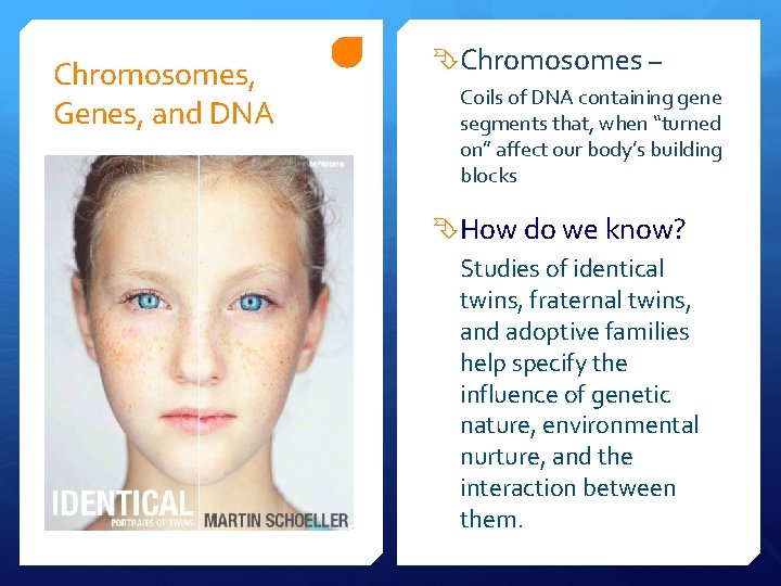 Chromosomes, Genes, and DNA Chromosomes – Coils of DNA containing gene segments that, when