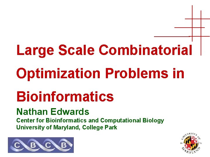 Large Scale Combinatorial Optimization Problems In Bioinformatics Nathan