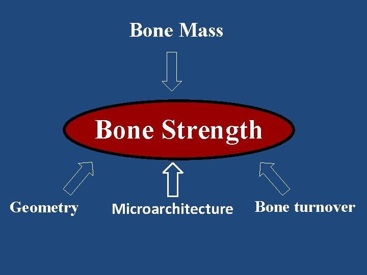 Bone Mass Bone Strength Geometry Microarchitecture Bone turnover 