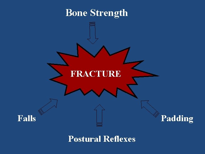 Bone Strength FRACTURE Falls Padding Postural Reflexes 