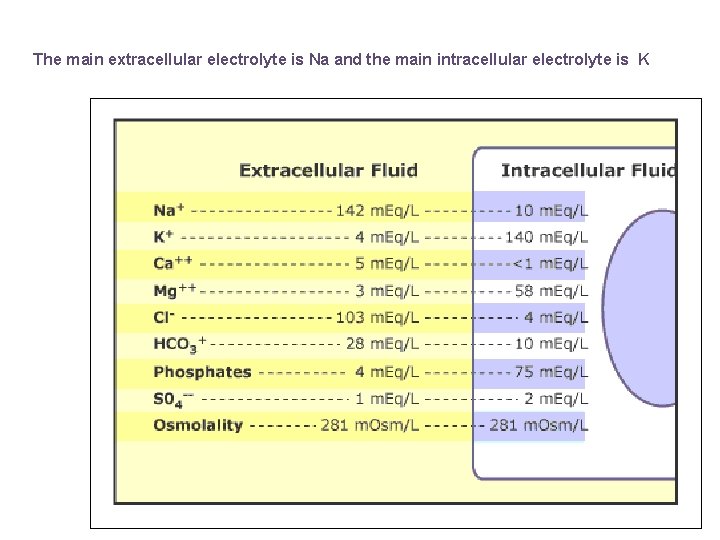 The main extracellular electrolyte is Na and the main intracellular electrolyte is K 