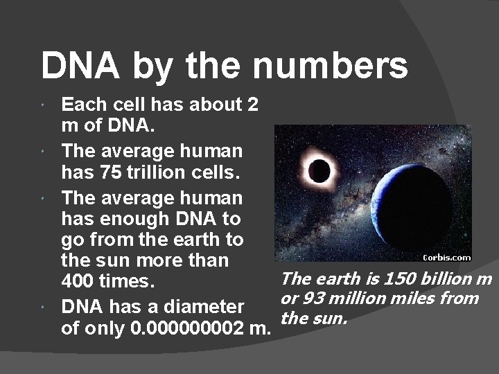 DNA by the numbers Each cell has about 2 m of DNA. The average