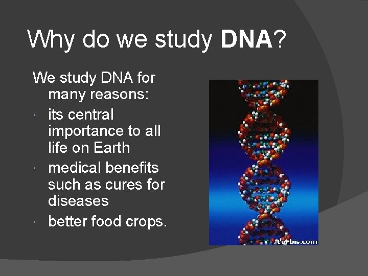 Why do we study DNA? We study DNA for many reasons: its central importance