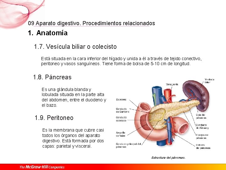 09 Aparato digestivo. Procedimientos relacionados 1. Anatomía 1. 7. Vesícula biliar o colecisto Está
