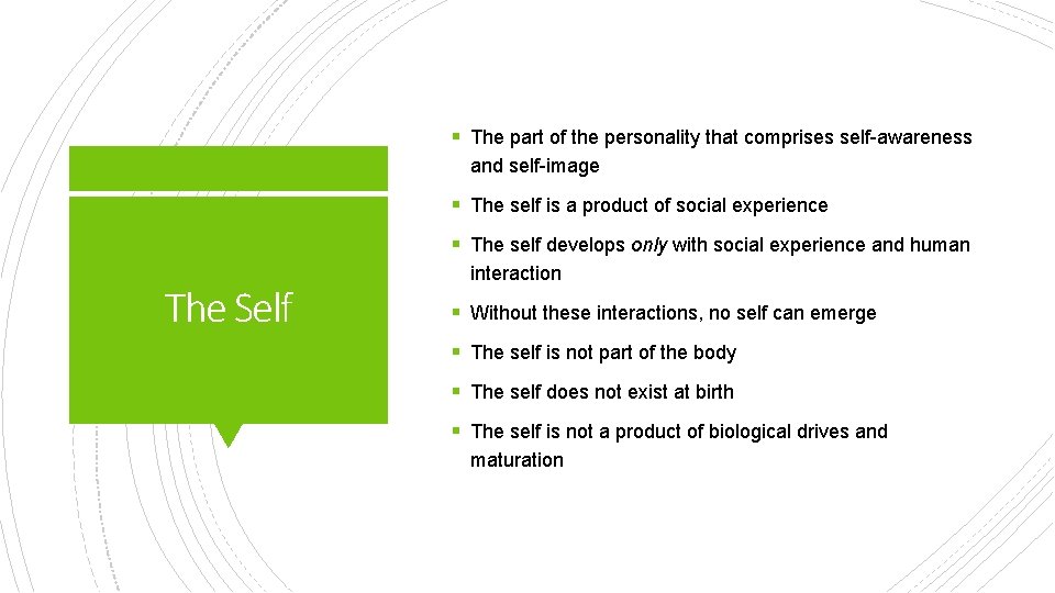 § The part of the personality that comprises self-awareness and self-image § The self