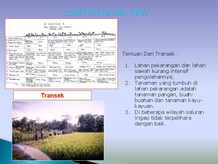 CONTOH HASIL PRA Temuan Dari Transek : Transek 1. Lahan pekarangan dan lahan sawah