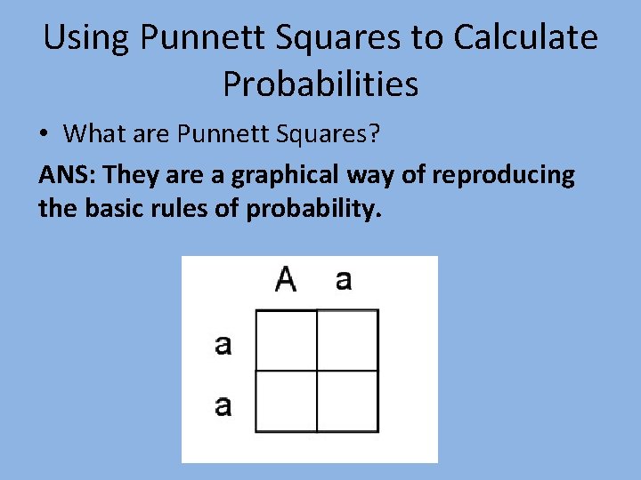 Using Punnett Squares to Calculate Probabilities • What are Punnett Squares? ANS: They are