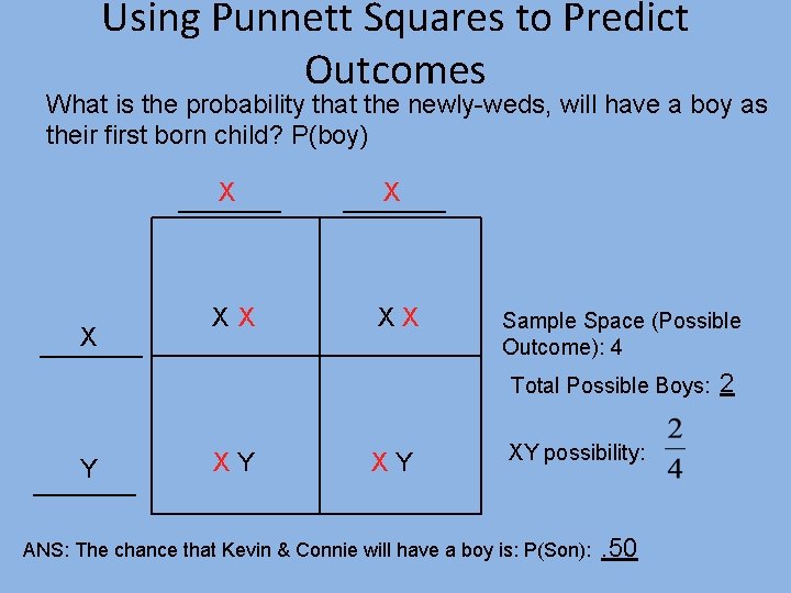 Using Punnett Squares to Predict Outcomes What is the probability that the newly-weds, will