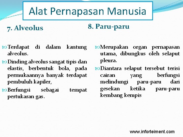 Alat Pernapasan Manusia 7. Alveolus Terdapat di dalam kantung alveolus. Dinding alveolus sangat tipis