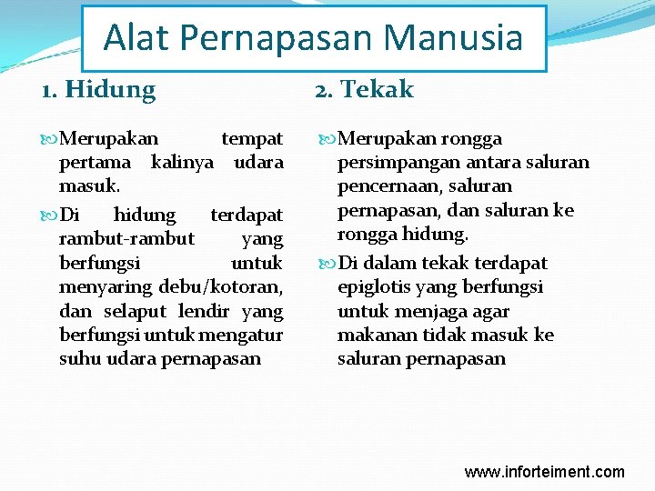 Alat Pernapasan Manusia 1. Hidung 2. Tekak Merupakan tempat pertama kalinya udara masuk. Di