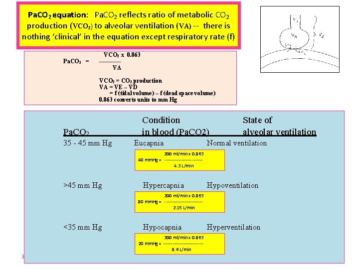Pa. CO 2 equation: Pa. CO 2 reflects ratio of metabolic CO 2 production