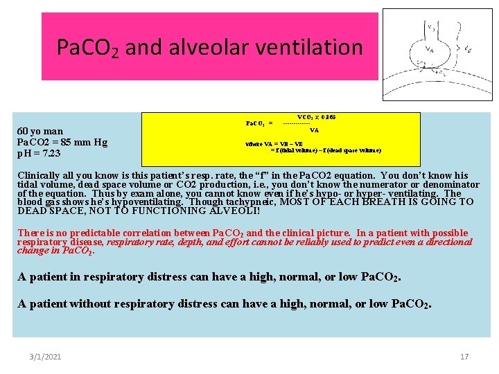 Pa. CO 2 and alveolar ventilation 60 yo man Pa. CO 2 = 85