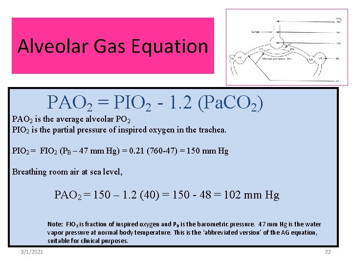 Alveolar Gas Equation PAO 2 = PIO 2 - 1. 2 (Pa. CO 2)