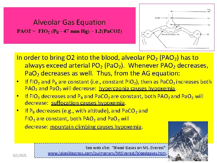 Alveolar Gas Equation PAO 2 = FIO 2 (PB – 47 mm Hg) –