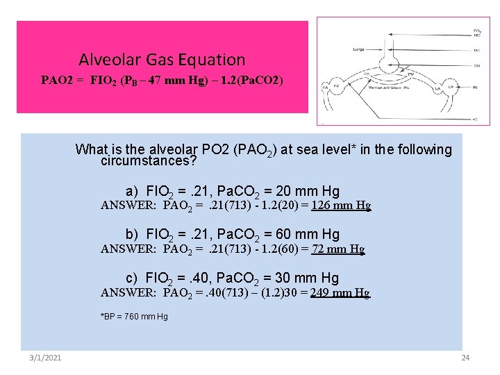 Alveolar Gas Equation PAO 2 = FIO 2 (PB – 47 mm Hg) –