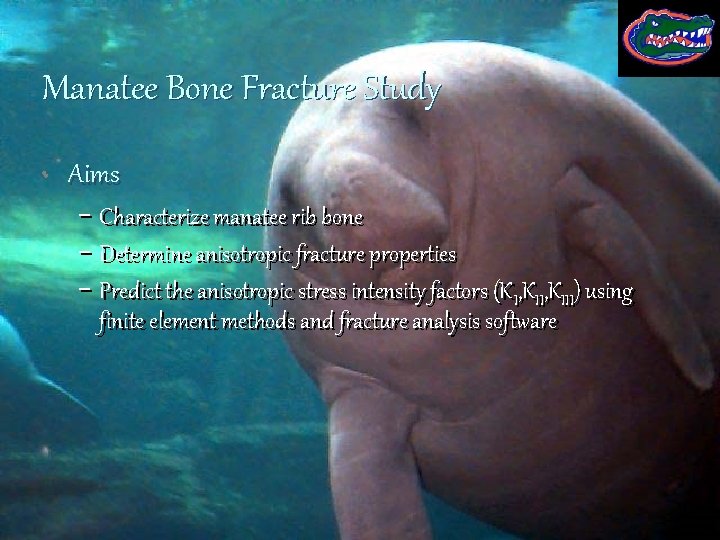 Manatee Bone Fracture Study • Aims − Characterize manatee rib bone − Determine anisotropic