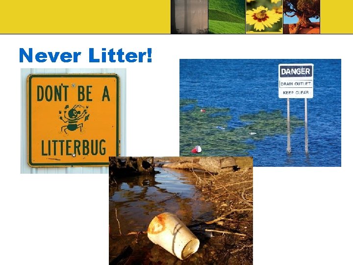 Never Litter! 