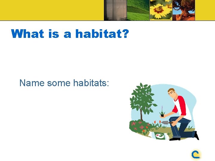 What is a habitat? Name some habitats: 