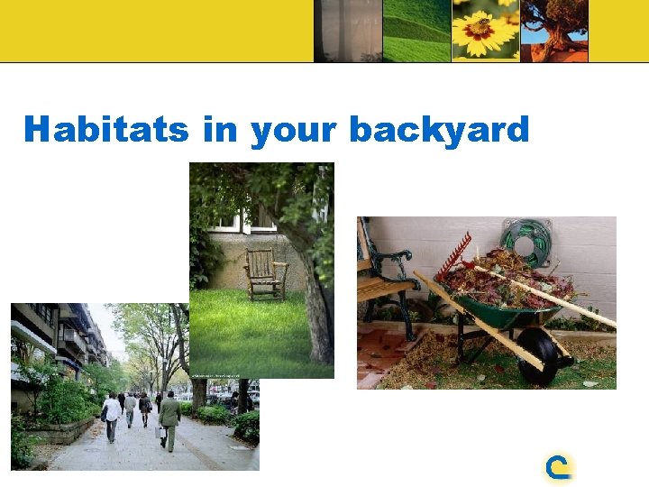 Habitats in your backyard 