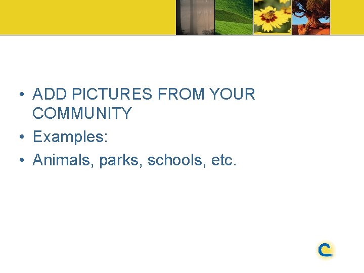  • ADD PICTURES FROM YOUR COMMUNITY • Examples: • Animals, parks, schools, etc.