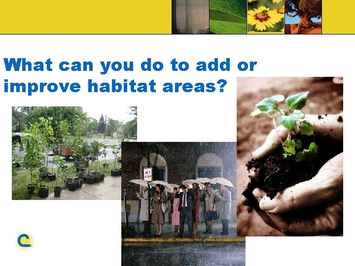 What can you do to add or improve habitat areas? 