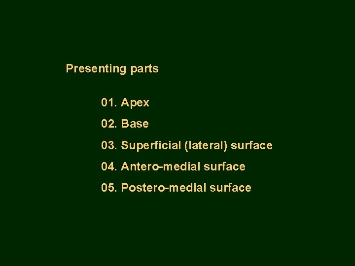 Presenting parts 01. Apex 02. Base 03. Superficial (lateral) surface 04. Antero-medial surface 05.