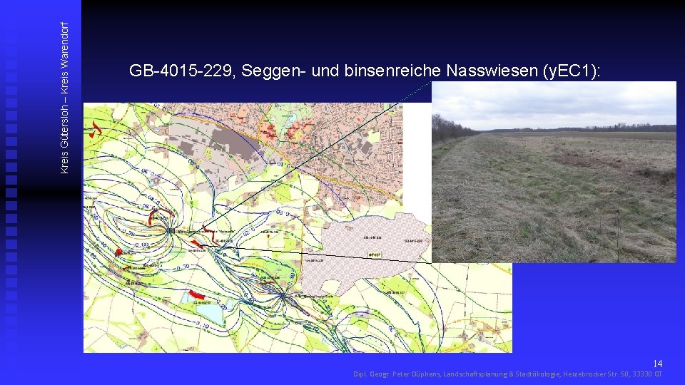 Kreis Gütersloh – Kreis Warendorf GB-4015 -229, Seggen- und binsenreiche Nasswiesen (y. EC 1):