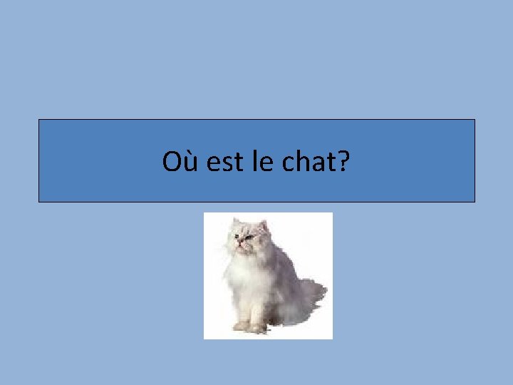 Où est le chat? 