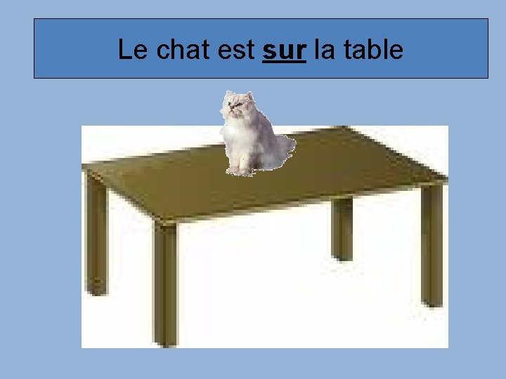 Le chat est sur la table 