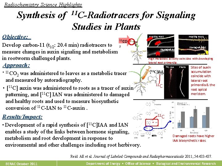 Radiochemistry Science Highlights Synthesis of 11 C-Radiotracers for Signaling Studies in Plants Objective: Healthy