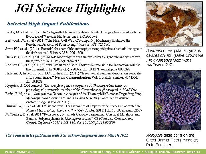 JGI Science Highlights Selected High Impact Publications Banks, JA, et. al. (2011) “The Selaginella