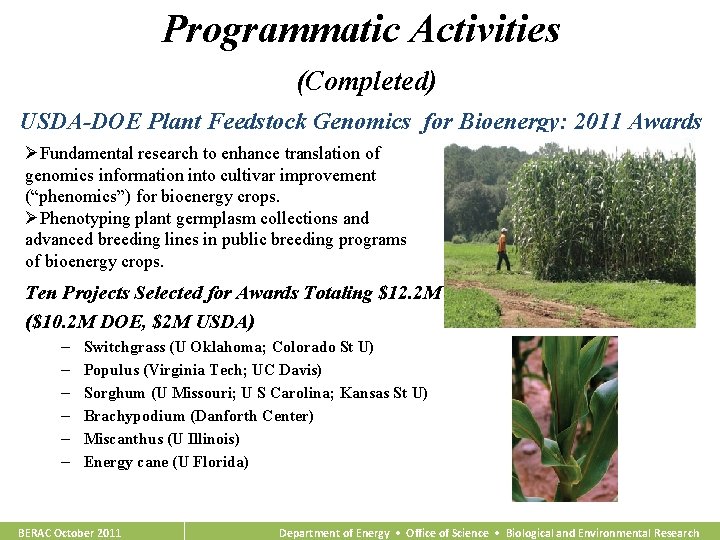 Programmatic Activities (Completed) USDA-DOE Plant Feedstock Genomics for Bioenergy: 2011 Awards ØFundamental research to