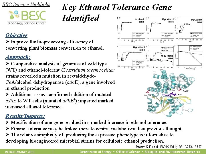 BRC Science Highlight Key Ethanol Tolerance Gene Identified Objective Ø Improve the bioprocessing efficiency