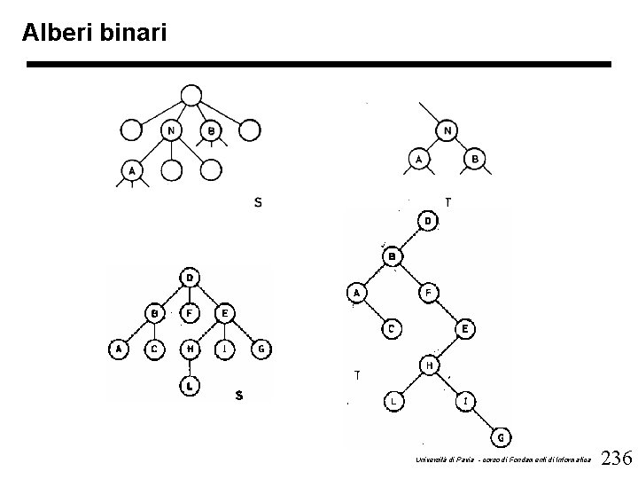 Alberi binari Università di Pavia - corso di Fondamenti di Informatica 236 