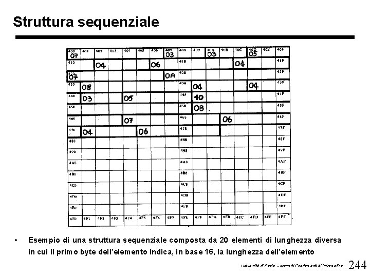 Struttura sequenziale • Esempio di una struttura sequenziale composta da 20 elementi di lunghezza