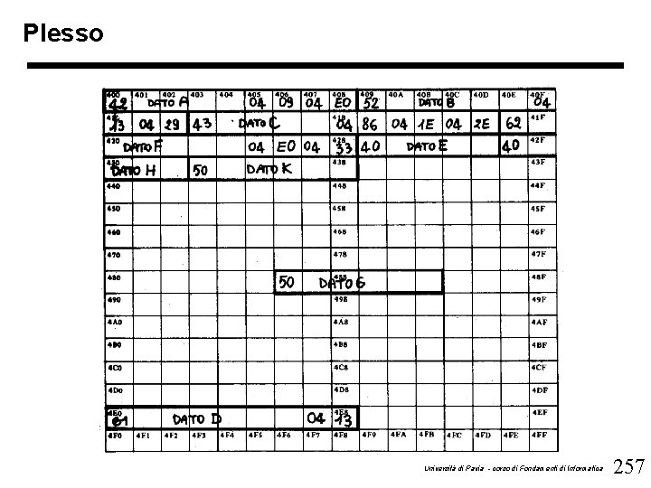 Plesso Università di Pavia - corso di Fondamenti di Informatica 257 